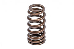 APR Valve Springs/Seats/Retainers - Set of 16